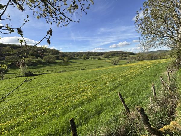 Semur-en-Auxois 20 min: maison de 360m², 10 pièces, 6 chambres, terrain 1700m², atelier. Prix : 395 000€.