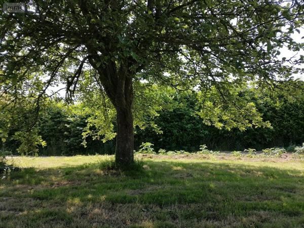 Maison à vendre à Lannebert dans les Côtes-d'Armor (22290), ref : 22017-1243