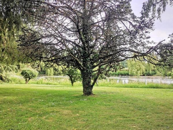 maison située dans le centre de Combourg