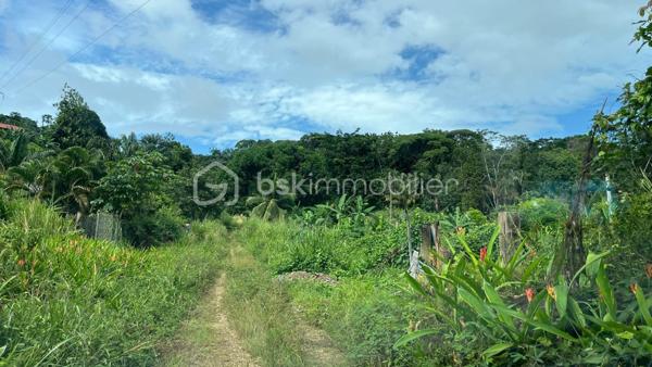 Terrain de loisirs de 1 004 m²