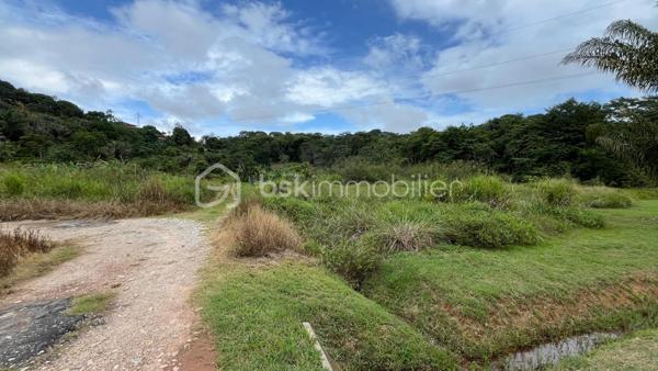 Terrain de loisirs de 1 004 m²