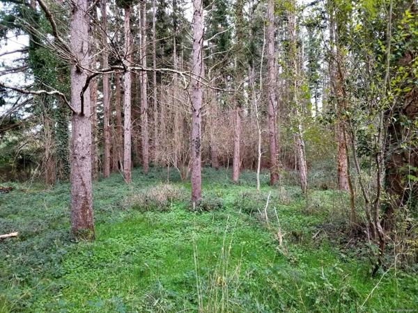 Charmante maison de 120m² sur un terrain de 3560m²