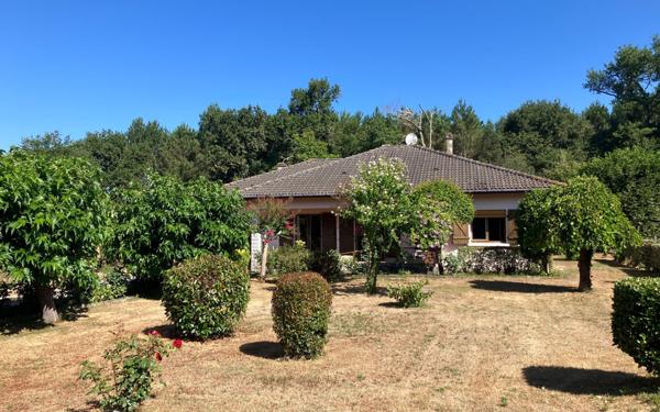 Maison à vendre    4 pièces •  Saint-Julien-en-Born