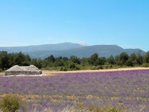 Vente / Appartement T5