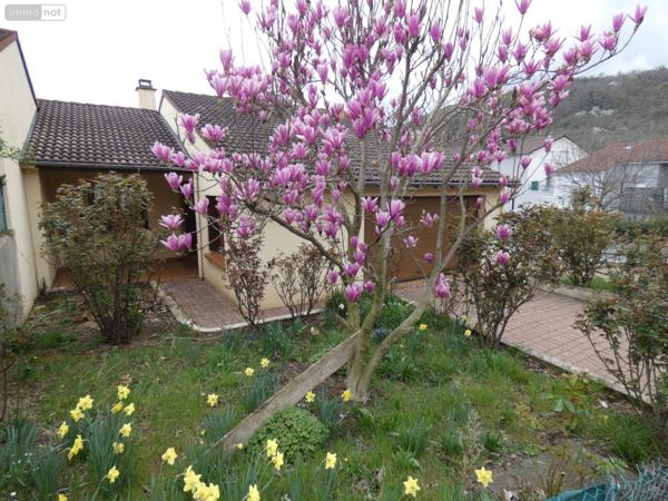Pavillon à vendre à Clermont-Ferrand dans le Puy-de-Dôme (63100), ref : 13352/412