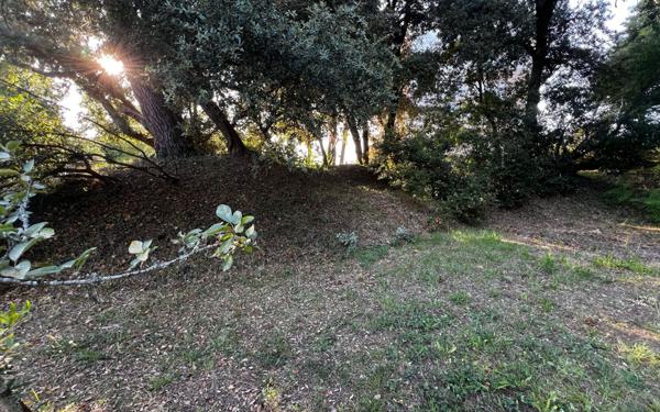 Terrain à vendre    Vaux-sur-Mer