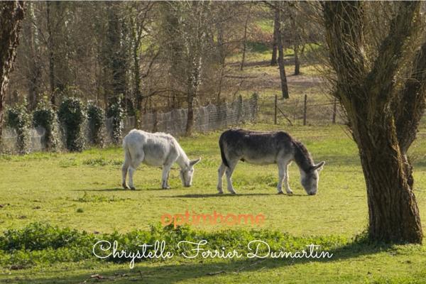 Propriété girondine de charme - 268m2 - 6 chambres - Parc paysager 9200 m2