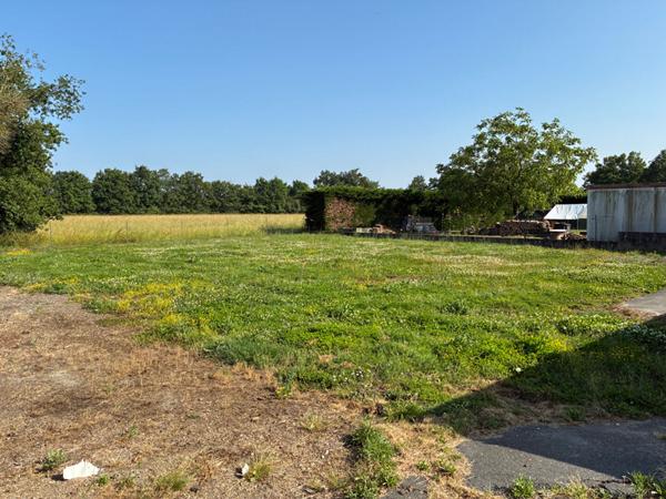 Terrain Saint Philbert De Grand Lieu 600 m2