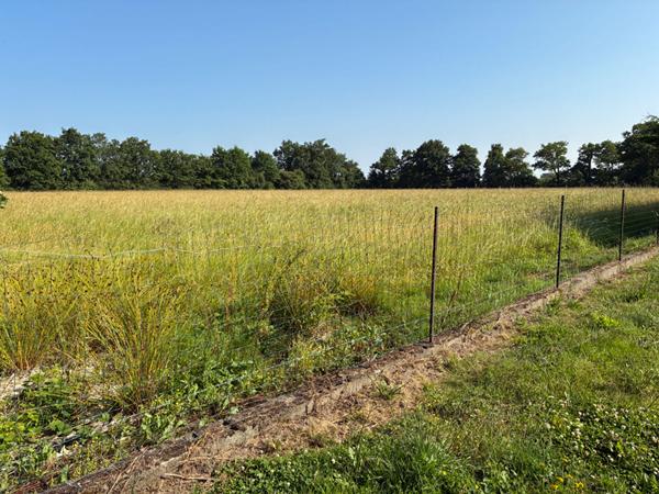 Terrain Saint Philbert De Grand Lieu 600 m2