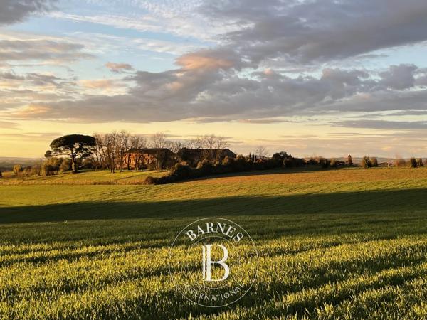 Albi, Propriété  670 m² à vendre
