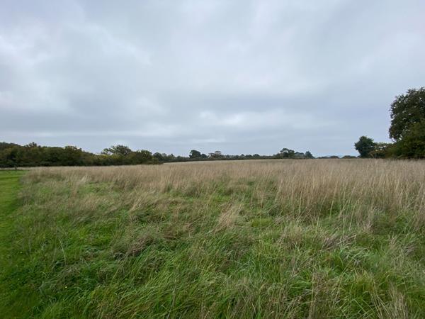 Terrain a vendre a Sene proche mer secteur Port Anna non constructible