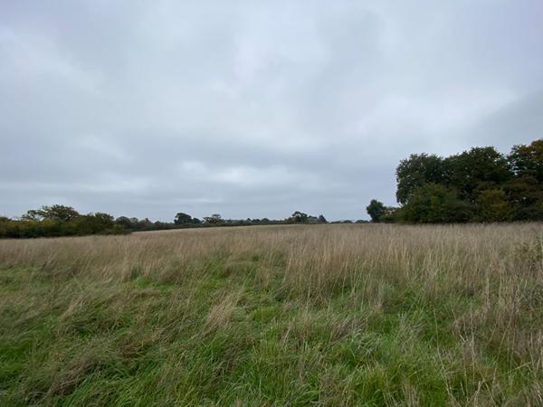 Terrain a vendre a Sene proche mer secteur Port Anna non constructible