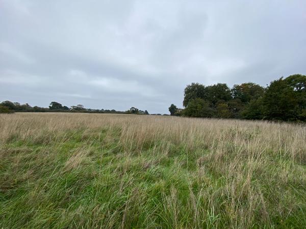 Terrain a vendre a Sene proche mer secteur Port Anna non constructible