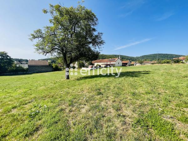 Terrain - 5179 m²