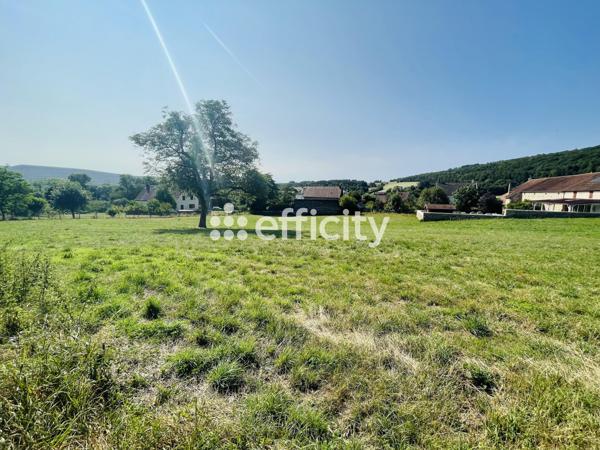 Terrain - 5179 m²