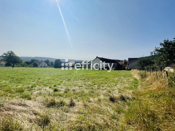 Terrain - 5179 m²