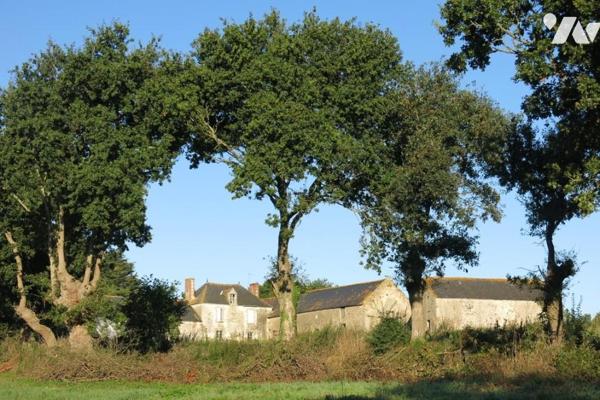 Campagne ensemble de maisons et dépendances an pierres sur 45 923m²