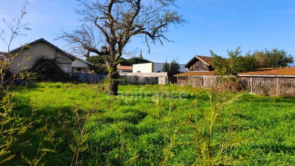 RARE au Coeur du Teich : Maison avec potentiel ! LE TEICH (33)