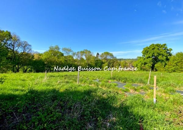 Terrain à vendre de 3 260 m² dans un environnement résidentiel recherché à GONNEVILLE SUR MER (14)