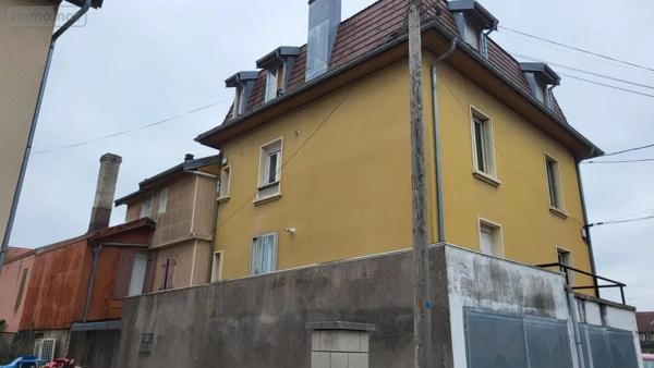Achat - Immeuble Exincourt 25400 329 m 2 1166 m 2