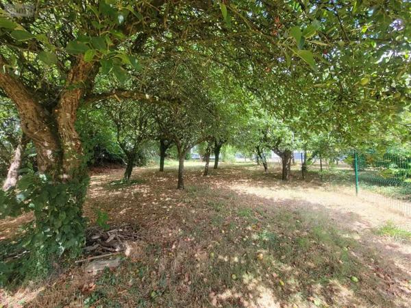 Achat - Maison Gourin 56110 6 pièces 133 m 2 4786 m 2