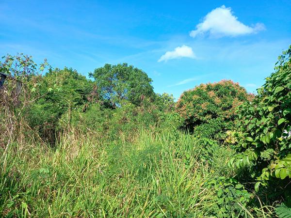 Achat terrain Sainte-Anne - 1013 m² - 149 000 €