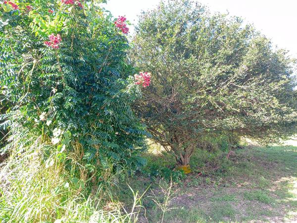 Achat terrain Sainte-Anne - 1013 m² - 149 000 €