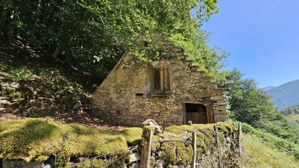 Vente / Grange à Campan (65710)