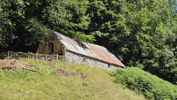 Vente / Grange à Campan (65710)