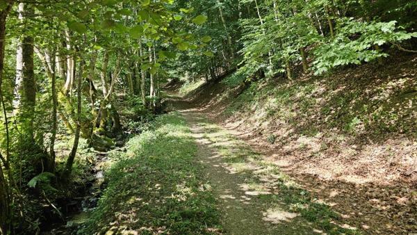 Vente / Grange à Campan (65710)