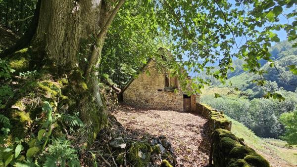 Vente / Grange à Campan (65710)