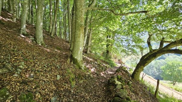 Vente / Grange à Campan (65710)