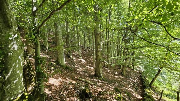 Vente / Grange à Campan (65710)