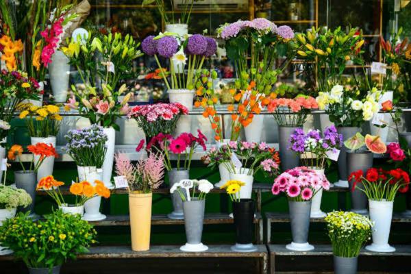69100 - VILLEURBANNE - FLEURISTE