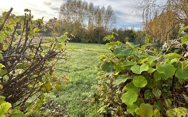 Maison à louer    3 pièces •  Selles-sur-Cher