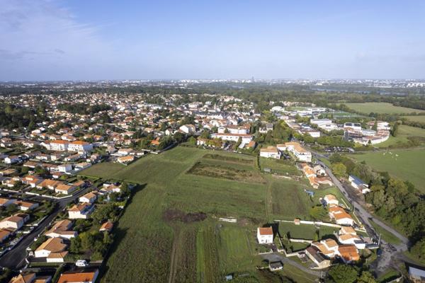 Terrain LES COQUELICOTS Basse-Goulaine | Lamotte