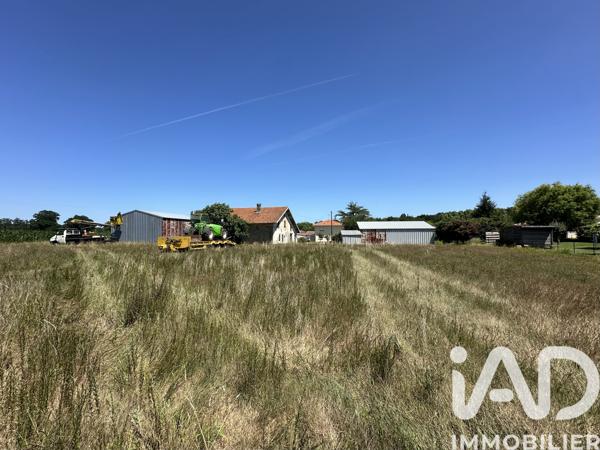 Terrain à vendre 547 m² Saubrigues