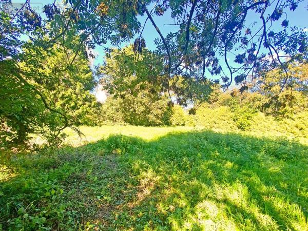 Terrain à Batir à vendre à Plougastel-Daoulas dans le Finistère (29470), ref : PLOUG-Lot B