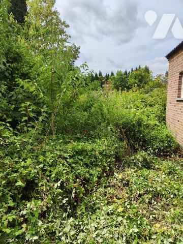 Maison semi-individuelle