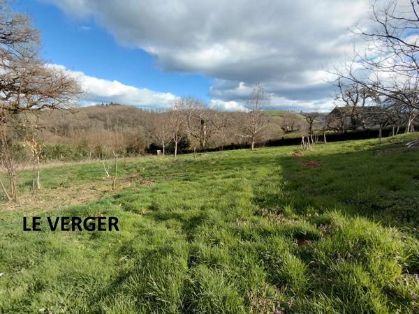 Grande maison rénovée avec atelier, terrasse panoramique et verger – 220 m² – Mourjou (Puycapel - cantal)