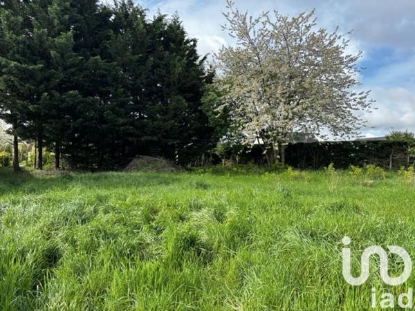 Terrain à vendre 497 m² Tiercé
