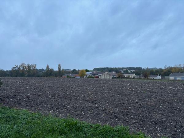 Cierzac (17520) 

À vendre – Beau terrain de 16 000 m² à Cierzac (Charente maritime)