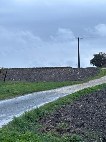 Cierzac (17520) 

À vendre – Beau terrain de 16 000 m² à Cierzac (Charente maritime)