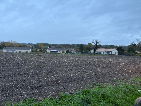 Cierzac (17520) 

À vendre – Beau terrain de 16 000 m² à Cierzac (Charente maritime)