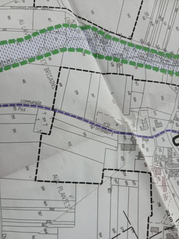 Cierzac (17520) 

À vendre – Beau terrain de 16 000 m² à Cierzac (Charente maritime)