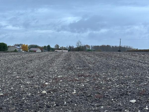 Cierzac (17520) 

À vendre – Beau terrain de 16 000 m² à Cierzac (Charente maritime)