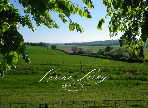 Maison 12 pièces - 400 m²