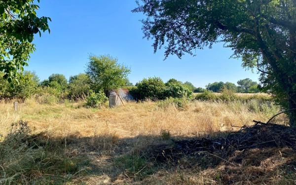 Terrain à vendre    Mondonville