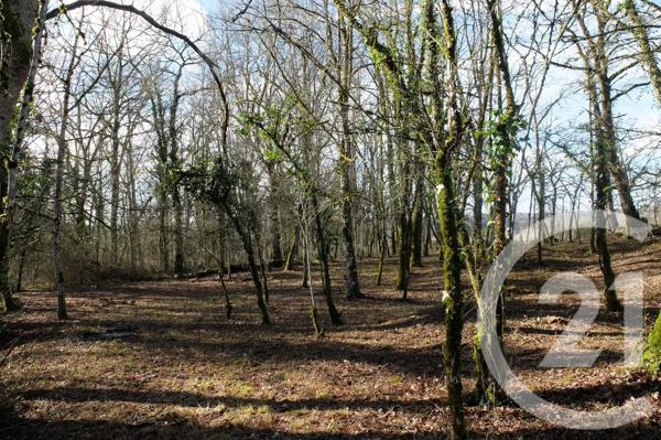 Terrain à vendre  1230 m 2   MARTEL  - 46