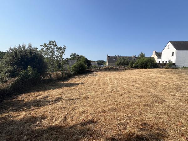Baden terrain constructible